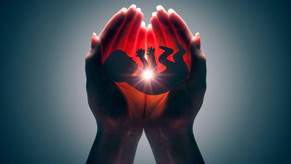 Aborto