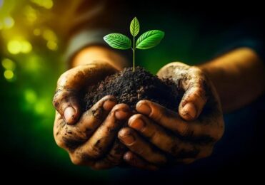 Lei do Licenciamento Ambiental: Descubra Seus Impactos e Benefícios