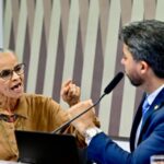 Senadores e Marina Silva
