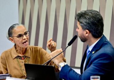Senadores e Marina Silva